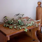 Apartamento Apostolos 5